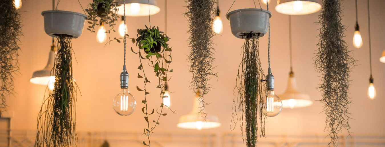 Lighting Design: How to Create the Perfect Lighting for Your Home