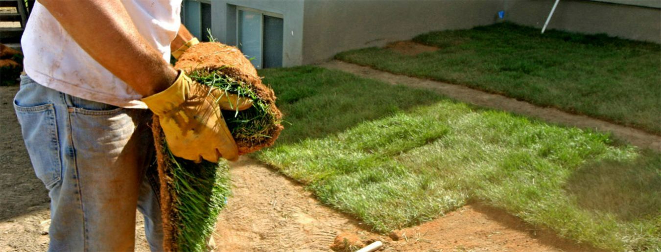 10 Landscaping Mistakes to Avoid When Designing a Garden