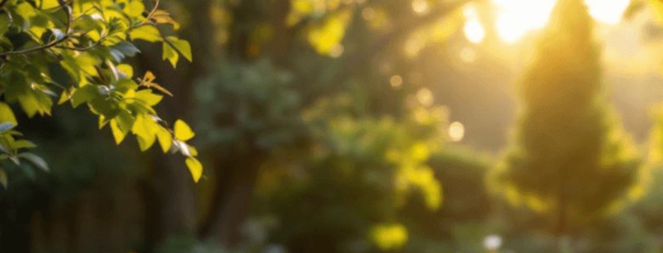 Best Home Warranty Companies for Wells (2025 Guide)